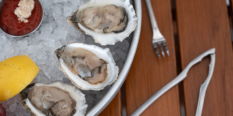 raw oysters on half shell