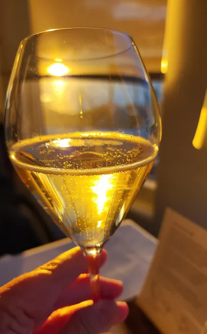 A person holds a glass of champagne