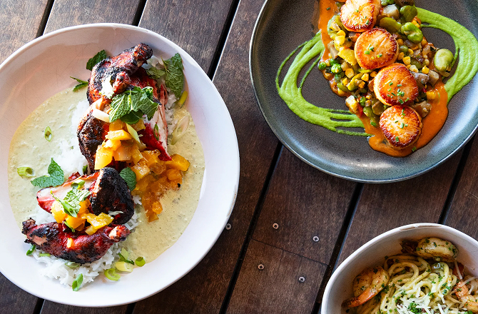 Charred octopus, seared scallops, and shrimp pasta